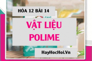 Vật liệu Polime: Chất dẻo, Cao su, Tơ, Keo dán tổng hợp; thành phần, tính chất và ứng dụng - Hóa 12 bài 14
